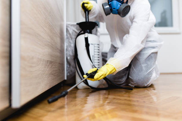 Best Affordable Pest Control Services  in De Soto, IL