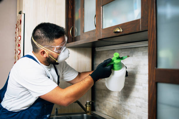 Best Local Pest Control Services  in De Soto, IL