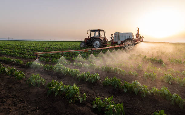 Best Wildlife Control Services  in De Soto, IL