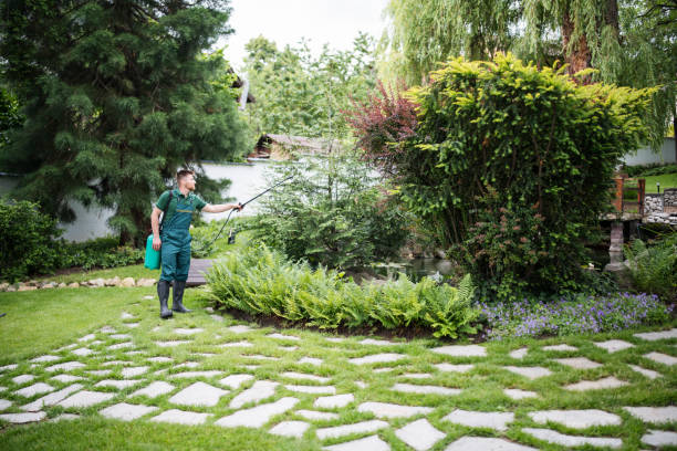 Pest Prevention Services in De Soto, IL
