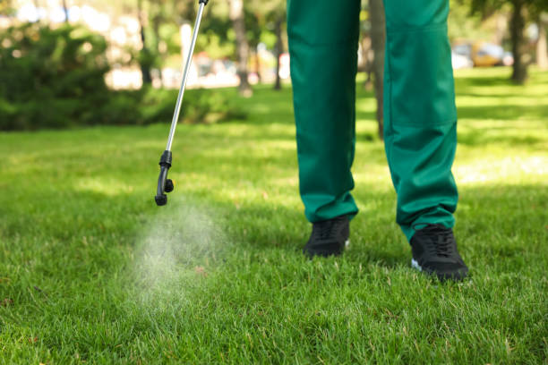 Best Pest Control Near Me  in De Soto, IL