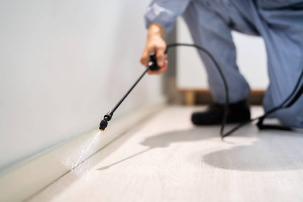 Best Pest Removal Services  in De Soto, IL