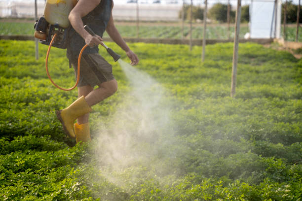 Best Best Pest Control Companies  in De Soto, IL
