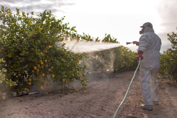 Best Pest Control for Businesses  in De Soto, IL