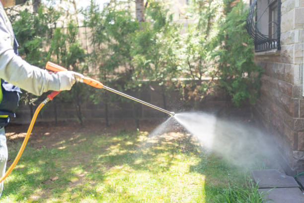 Best Termite Control Services  in De Soto, IL