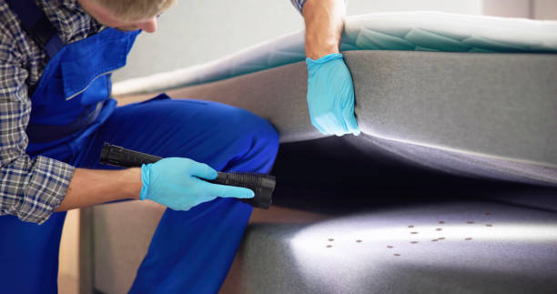 Best Emergency Pest Control  in De Soto, IL