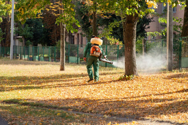 Best Wasp Removal Services  in De Soto, IL