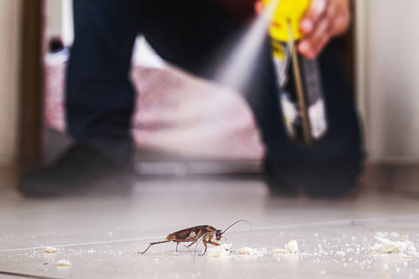 Best Mosquito Control Services  in De Soto, IL