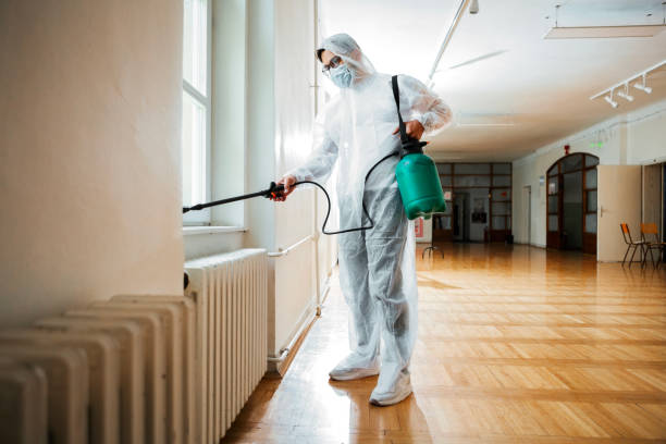 Best Bed Bug Extermination  in De Soto, IL